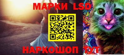 скорость Аргун