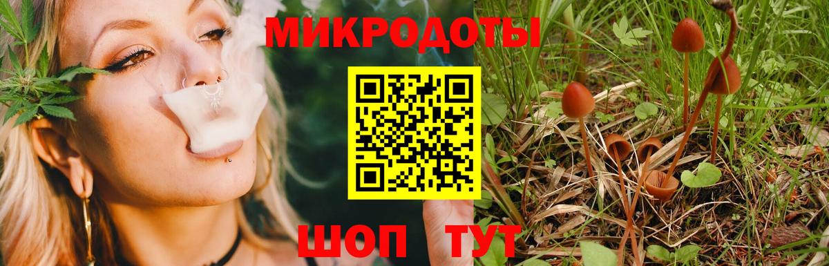 Псилоцибиновые грибы ЛСД Гусиноозёрск