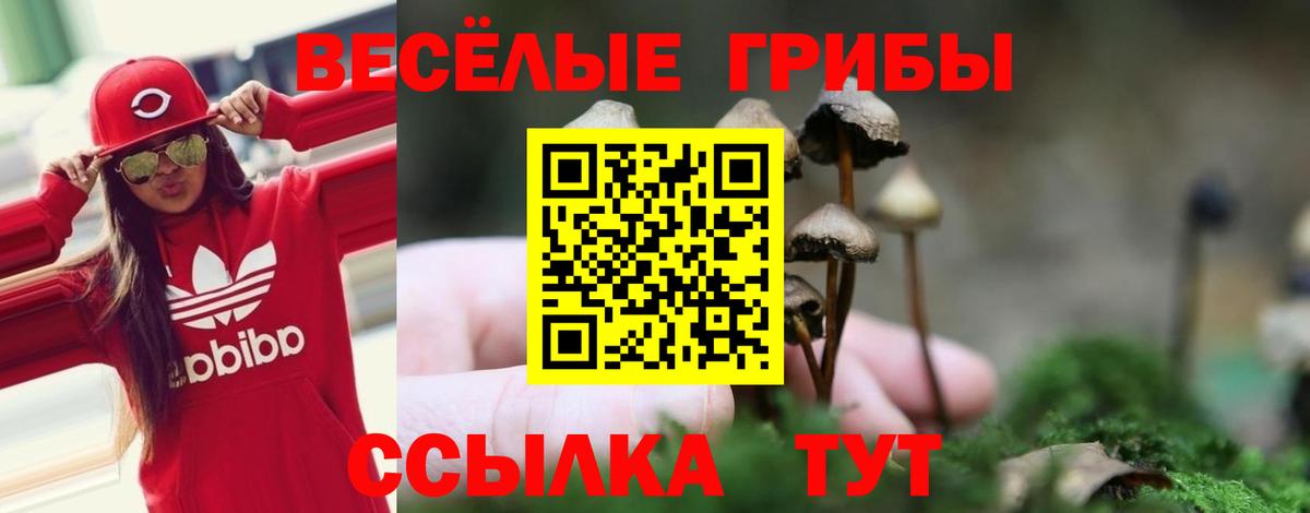 Псилоцибиновые грибы мухоморы  Псилоцибиновые грибы Magic Shrooms  Вход с VPN  Гусиноозёрск 